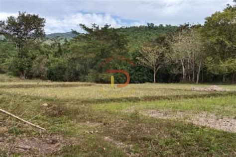 Foreclosed Properties in Tandang Kutyo, Tanay, Rizal .